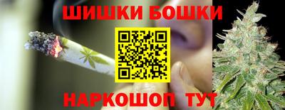 крисы Лесосибирск