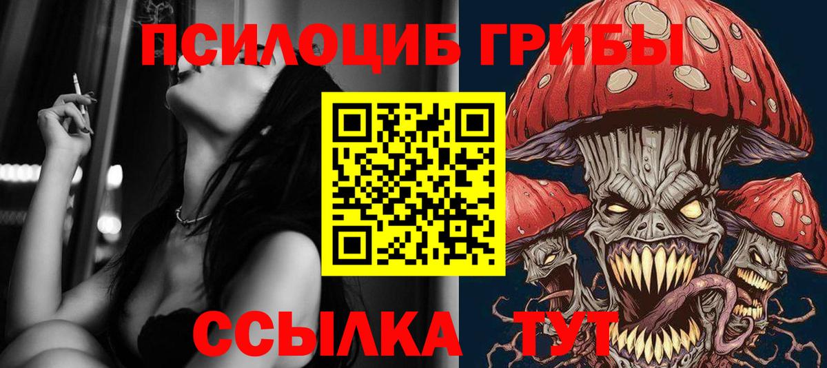 Псилоцибиновые грибы Psilocybine cubensis  магазин  наркотиков  Гурьевск  Вход с VPN 
