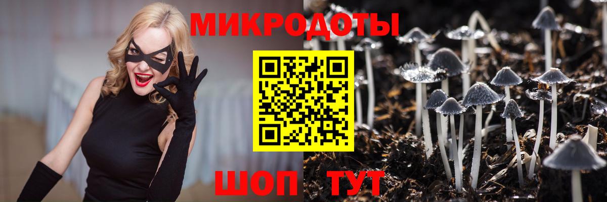 Псилоцибиновые грибы Cubensis Гурьевск